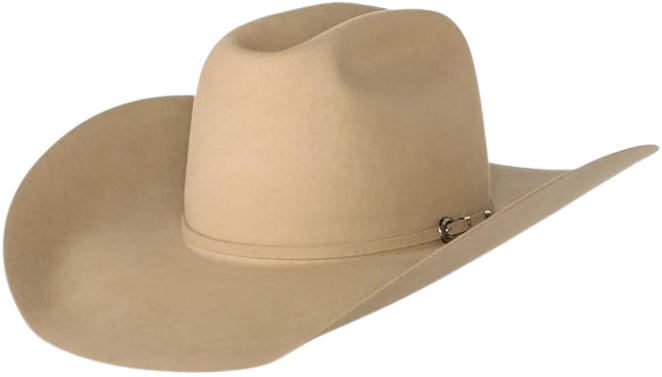 Brim Self Band Felt Cowboy Hat